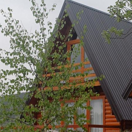 Villa Wood Borje Žabljak Dış mekan fotoğraf
