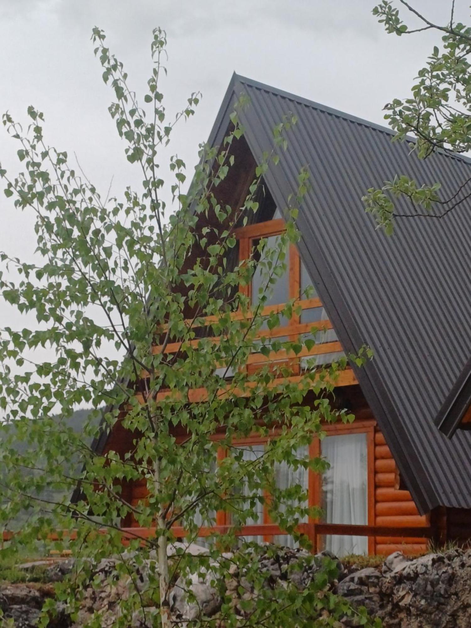 Villa Wood Borje Žabljak Dış mekan fotoğraf